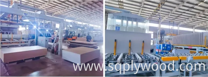 Melamine Waterproof Plywood 1220*2440* 12mm 18mm Melamine Coated Plywood Made in China